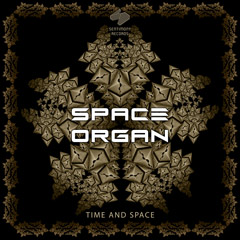 Space Organ «Time And Space»