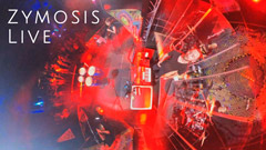 Zymosis Live at Chillary Festival 2021